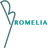 Bromelia Brazil Travel