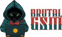 Brutalgsm