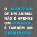 joao maia